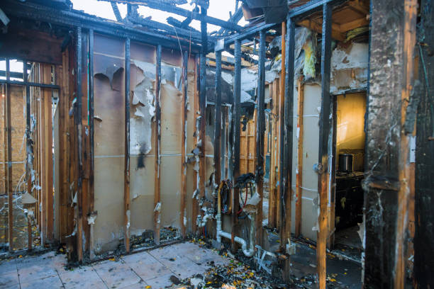 Professional Emergency Fire Cleanup technician working in East Lake-Orient Park, FL
